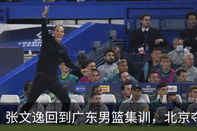 张文逸回到广东男篮集训，北京夺冠功勋确定退役，上海欲续约弗格